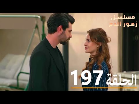 الحلقة 197 | مسلسل زهور الدم | مدبلج بالعربية | Kan Çiçekleri