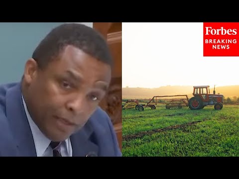 YouTube video thumbnail: 'Immediate Threat To Our Ability To Feed The American People': Don Davis Urges Access To Crop Inputs