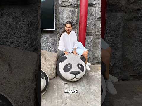 Quand Panda a refusé de ramener Maanvi chez lui #youtubeshorts #viralshort