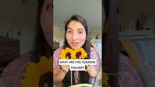 What Sunflowers Can Teach You About Life, Growth & Healthy Aging