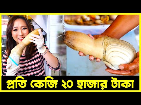 আজব খাবার গুয়িডাক,  প্রতি কেজি ২০ হাজার টাকা! | Agro News