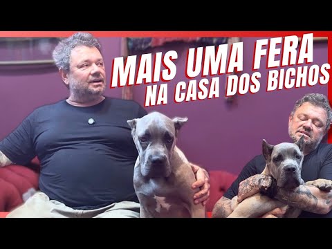 UMA NOVA FERA CHEGOU NA CASA DOS BICHOS!