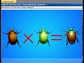 Evolution and Speciation Concepts