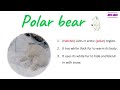 Animal Camouflage and Adaptations