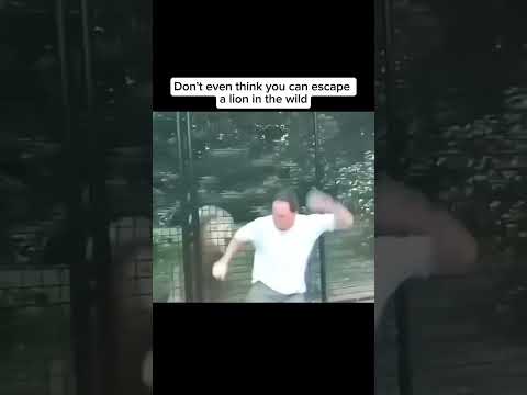 You never can escape from a lion π¦π² #viral #fun #tutorial #human #lion