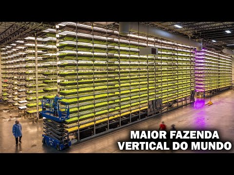 CONHEÇA A GIGANTE DA AGRICULTURA VERTICAL EM PRÉDIOS