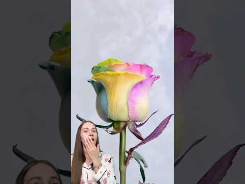 Color Changing Rose 🌹 I see this for the first time #lifehacks #hacks #experiment #asmr