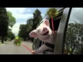 Understanding Geico and Kellogg's Advertisements