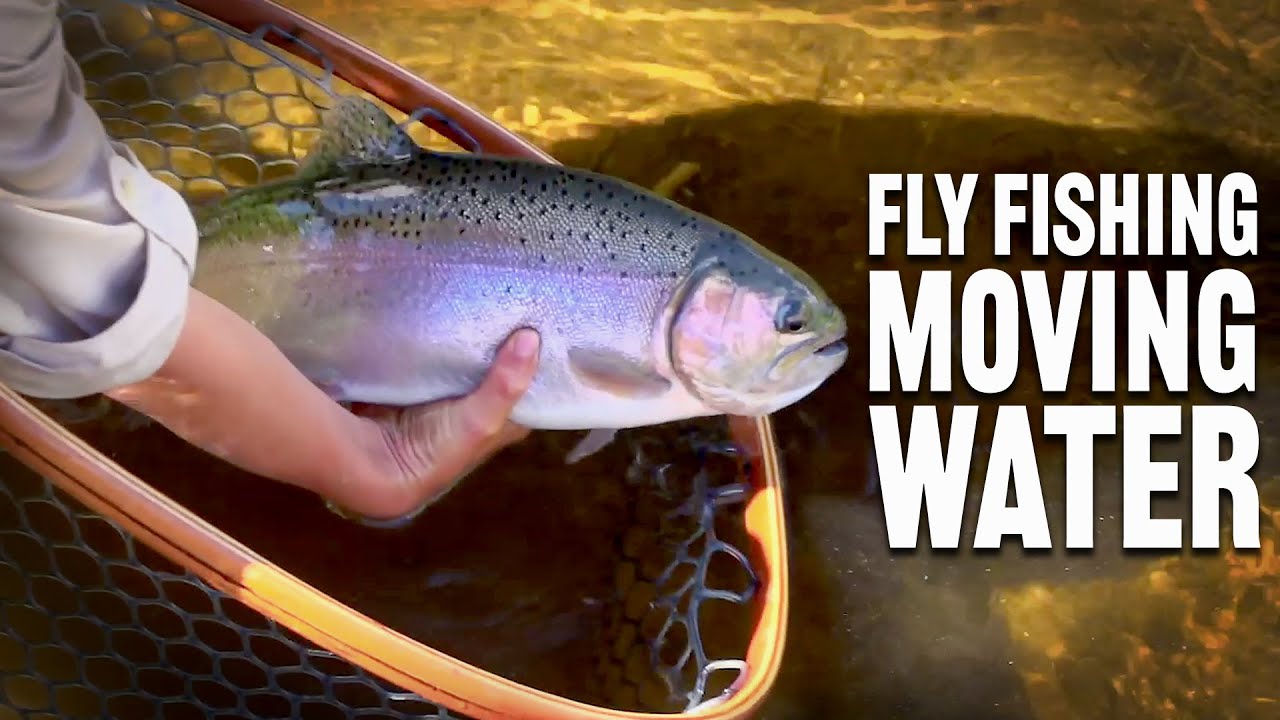 Fishing Moving Water - How to with Tom Rosenbauer - The New Fly Fisher