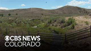 YouTube video thumbnail: Ranchers Sell Cattle as Drought Worsens in Colorado, and Creeks and Reservoirs Reach Historic Lows