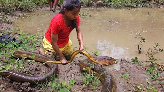 Life in jungle, Catch Giant eel in the rive for survival food, Giant eel soup chili tasty for dinner