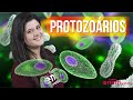 Quiz sobre Protozoários