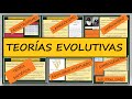 Cuestionario sobre Teorías Evolutivas