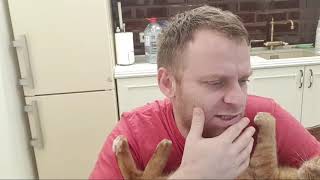 видео