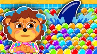 Pequeño Leon | Tiburón en una piscina con bolas de colores | Dibujos animados | Video Para Niños