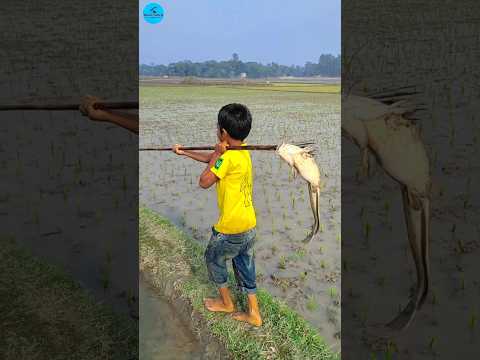 Unique & Best Teta Fishing Method In Water Drean | Unbelievable Drean Fishing Video(part -76)#shorts