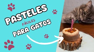Cómo hacer pasteles fáciles para michis + las historias de adopción de Misha y Ceniza 🥹