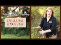 Invasive Species Impact and Management