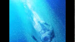 Gravity Off - Intronauta