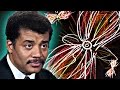 The Evolution of the Universe and Life