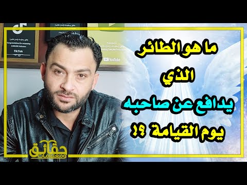 من الوحيد الذي ينجوا من أهوال القيامة ؟ وما هو الطائر الذي يدافع عن صاحبه يوم القيامة⁉️🤔