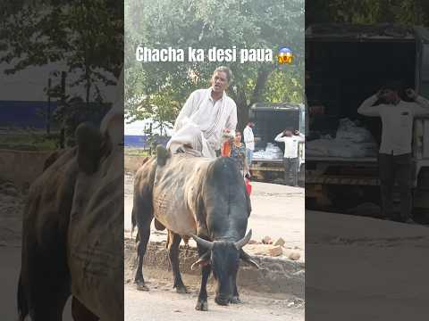Wait for end 😂🤣 #reels #tranding #viral #shortvideo #funny #funnyvideo #funny shorts