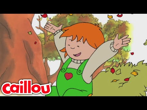 Caillou gereblyézi a leveleket | Caillou Magyarul - WildBrain | Tanulás gyerekeknek