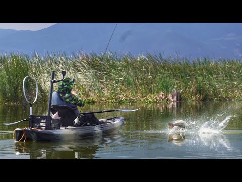 Este Lago está REPLETO de Lobinas Grandes! | Pesca en Kayak!