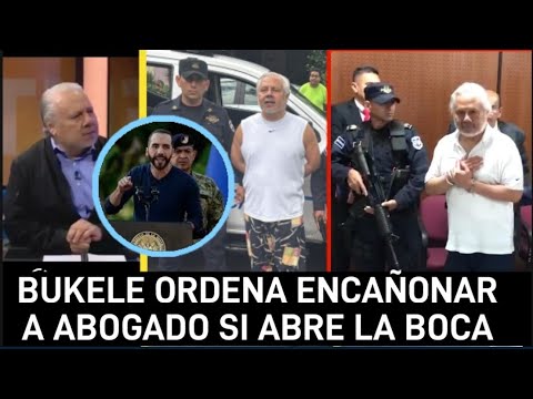 bukele ordena callar a enrique anaya en plena audiencia! por la libertad!