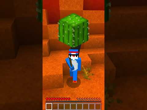 Minecraft, Pero No Puedo Ver el Color de Bombardino Crocodilo!