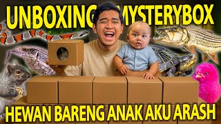 UNBOXING MYSTERYBOX HEWAN BARENG ANAK AKU ARASH! REAKSINYA DILUAR DUGAAN!