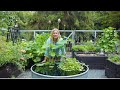Water Garden Ecosystem and Management