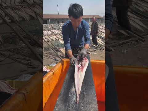 Professional conger eel cutting!