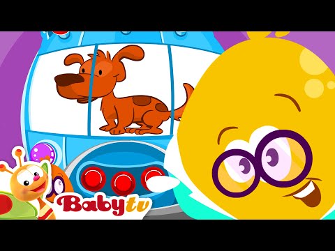 ¿Puedes Adivinar el Sonido? ¿Es un perro, un xilófono o un taladro? 🐕 🎶 Sonidos de animales@BabyTVSP