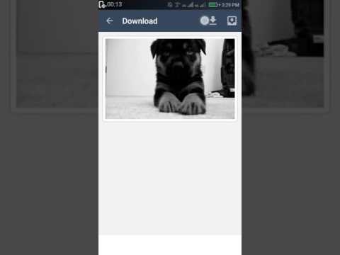 video downloader for tumblr video