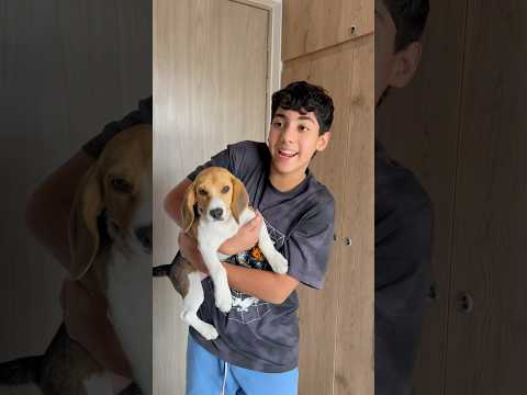 Mis papás y el perro 🤣 #tiktok #viralshots #shorts #mascotas #youtube