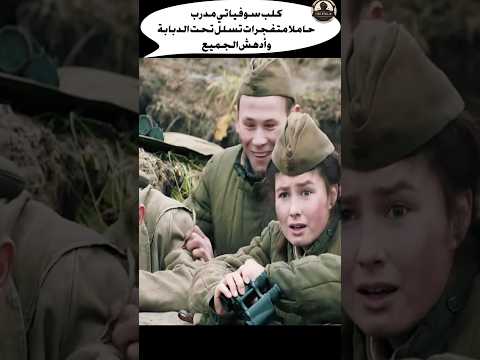 كلب سوفياتي مدرب حاملا متفجرات تسلل تحت الدبابة و أدهش الجميع #شورت #movie #army #film #shortfeed