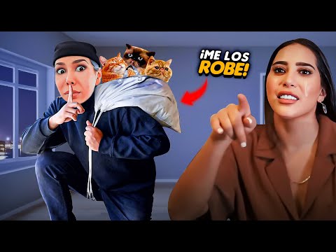 R0B3 LOS GATOS DE KIM SHANTAL Y ASÍ REACCIONÓ ! 🤯