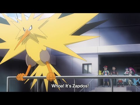 Everyone Forgot How INSANE Zapdos is… So I reminded them