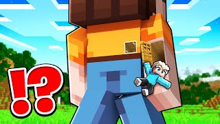 Wie Lumi ein HAUS in Dilly's ARM GEBAUT HAT in Minecraft!