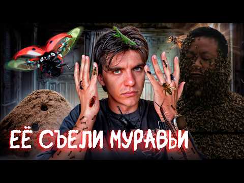 ИХ забрали НАСЕКОМЫЕ | маленькие ЧУДОВИЩА