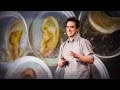 Innovative Uses of Garbage in Scientific Research