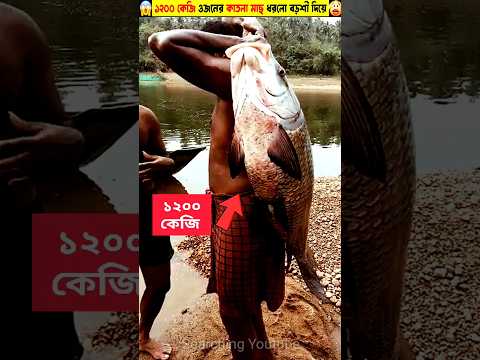 দানব কাতলা ধরলো বড়শীতে🤔 || Mini Wood Telephone || Woodworking Art skill || Wood Carving #shorts