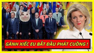 Gánh Xiếc EU Và Zelensky Bắt Đầu Phát Cuồng Sau Sự Kiện Trung Đông  |  Kiến Thức Chuyên Sâu