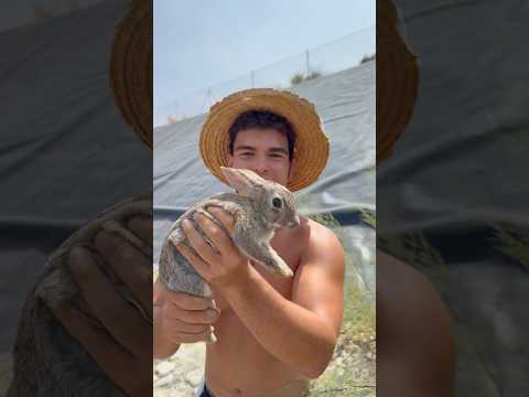 ¡Rescato 7 Conejos de una Balsa! 🐰 #animales #rescate #viral #shorts
