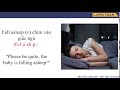 Understanding the Fall Suite Sections