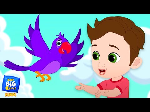 मैं तोता मैं तोता, Main Tota, Machali Jal Ki Rani + Baby Song in Hindi and Nursery Rhymes