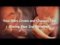 Baby Development Milestones by Week