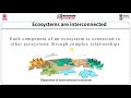 Ecosystem Dynamics and Resilience Concepts