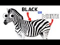 Understanding the Transcript